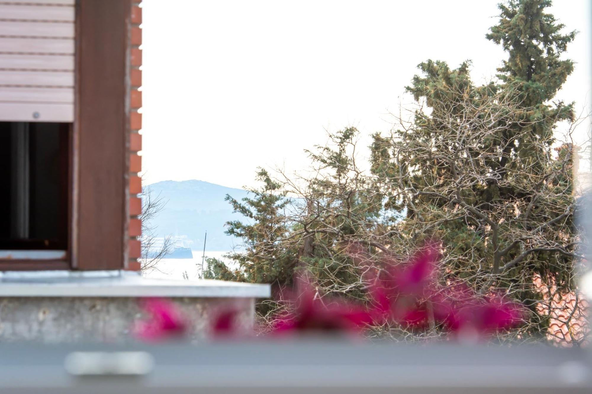 Apartament Franceska
